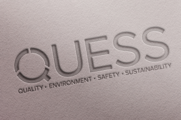 Webdesigner van creatief communicatiebureau Solid Designs maakt rebrand logo voor Quess